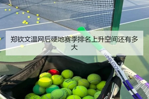 zheng-qin-wen-wen-wang-hou-ying-di-sai-ji-pai-ming-shang-sheng-kong-jian-hai-you-duo-da-2-782.jpg
